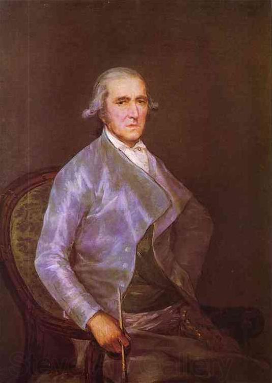 Francisco Jose de Goya Portrait of Francisco Norge oil painting art